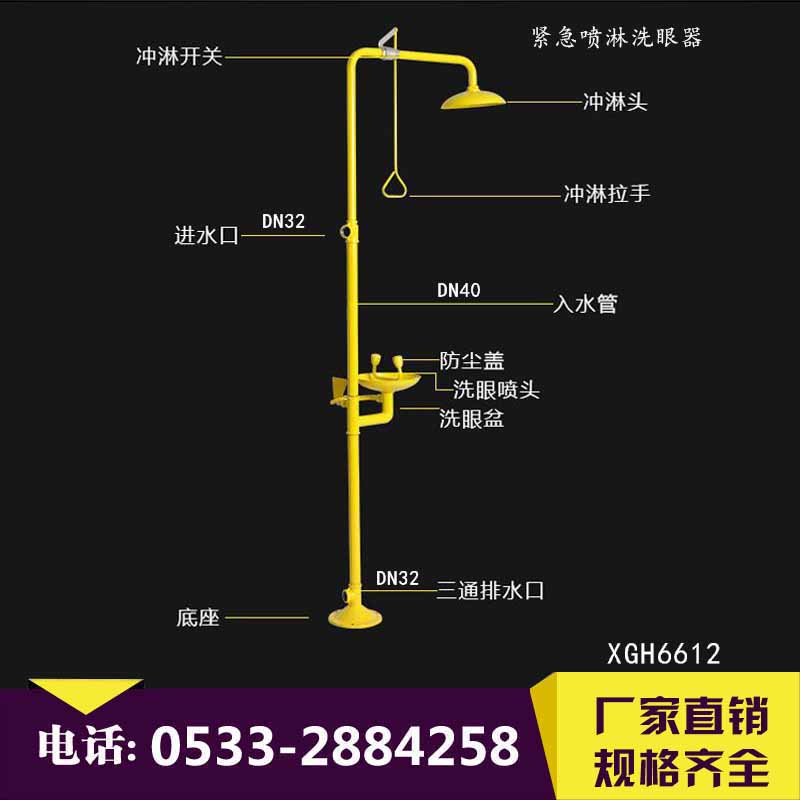 验厂洗眼器 经济型复合式洗眼器 碳钢喷淋双口洗眼器